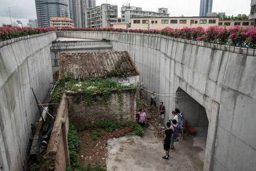 吃瓜钉子户,网络热词背后的社会现象