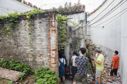 吃瓜钉子户,网络热词背后的社会现象