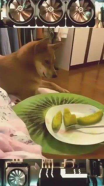 好家伙吃瓜视频,揭秘娱乐圈幕后故事