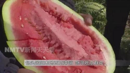 紧急呼救吃瓜,吃瓜群众如何化身救援英雄？