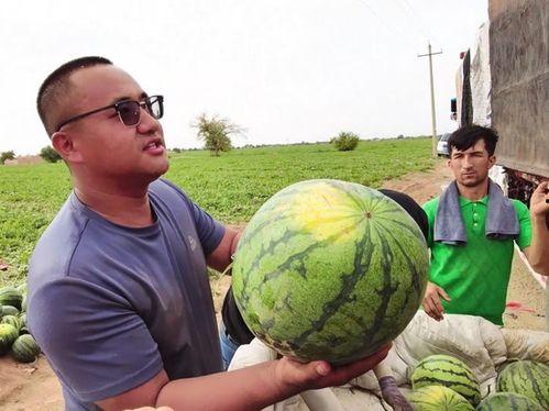 吃瓜解压图片大全,轻松一笑，解压生活小妙招