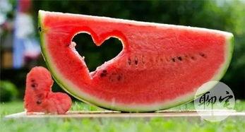 老公吃瓜的样子,揭秘老公吃瓜的狂热瞬间