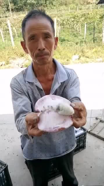 大叔吃瓜很酸,酸味十足，揭秘娱乐圈幕后故事