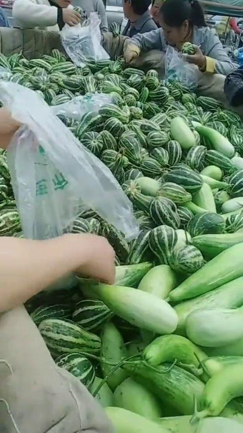 大叔吃瓜很酸,酸味十足，揭秘娱乐圈幕后故事