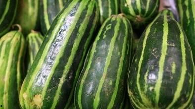 吃梢瓜减肥,开启健康瘦身之旅