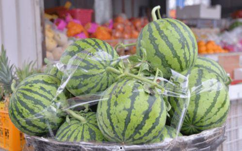 雨乐暄吃瓜,揭秘娱乐圈幕后故事