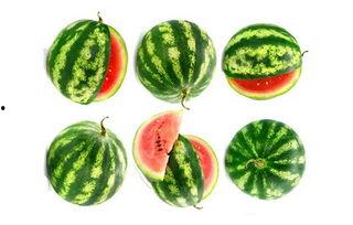 雨乐暄吃瓜,揭秘娱乐圈幕后故事