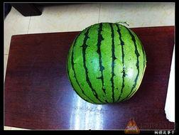 吃瓜自戏文6,揭秘娱乐圈背后的那些事儿