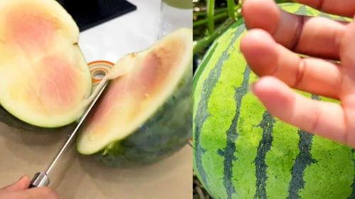 吃瓜自戏文6,揭秘娱乐圈背后的那些事儿