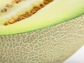 吃蜜瓜好不好,揭秘吃蜜瓜的好处