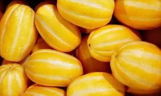 大头吃小瓜,趣味盎然的美食之旅