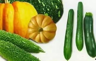 吃瓜要怎样吃才好吃呢,揭秘吃瓜的最佳姿势与技巧