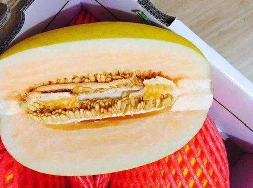 我说吃瓜哈密瓜,尽享哈密瓜的甘甜与清凉