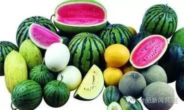 我说吃瓜哈密瓜,尽享哈密瓜的甘甜与清凉