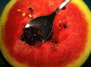 广东吃瓜君,揭秘粤菜美食背后的故事与魅力