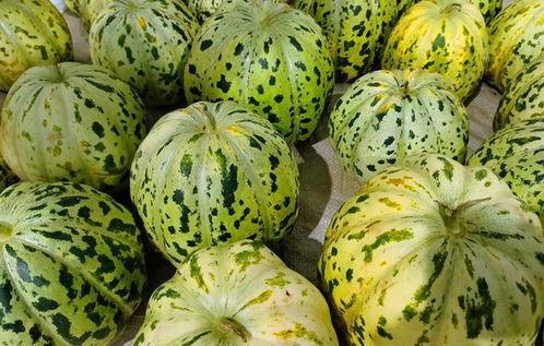 吃瓜吃的就是口感