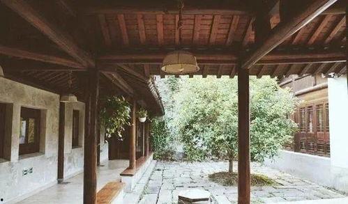 后院听雨前门吃瓜,后院听雨，前门品瓜的惬意时光