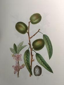 吃瓜的书,揭秘娱乐圈背后的秘密与真相