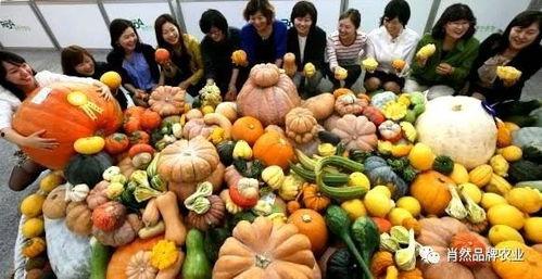 深圳打架吃瓜,一场“吃瓜群众”的围观与反思