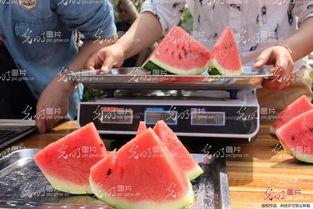 吃瓜选手图片大全