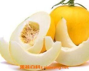 幼儿可以吃伊丽莎白瓜吗,幼儿适宜食用伊丽莎白瓜的探讨