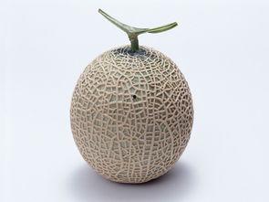 孕妇吃哈密瓜的坏处,孕妇吃哈密瓜的潜在风险与注意事项