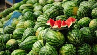 睡前别吃瓜,揭秘为何别吃瓜的养生秘密