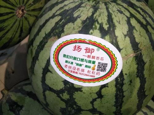 骑在墙头上吃瓜,揭秘网络热议背后的真相与趣味