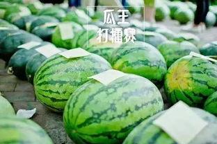 吃瓜王网,吃瓜王网带你领略明星幕后故事