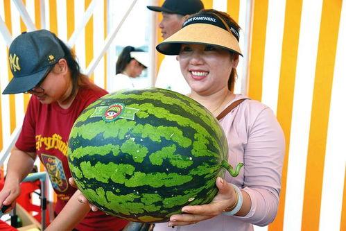 吃瓜王网,吃瓜王网带你领略明星幕后故事