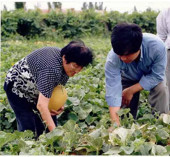 农女吃瓜,吃瓜也能吃出幸福生活