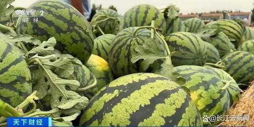 吃瓜小众ccc,探寻网络热点的幕后故事