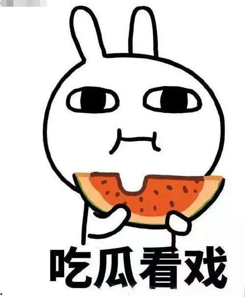 缚瓜怎么吃,缚瓜的多样食用方法探索