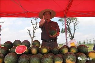 吃瓜雪琴,揭秘娱乐圈的“瓜田”趣事