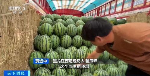 上学哪有吃瓜香,回味那上学时的瓜香记忆