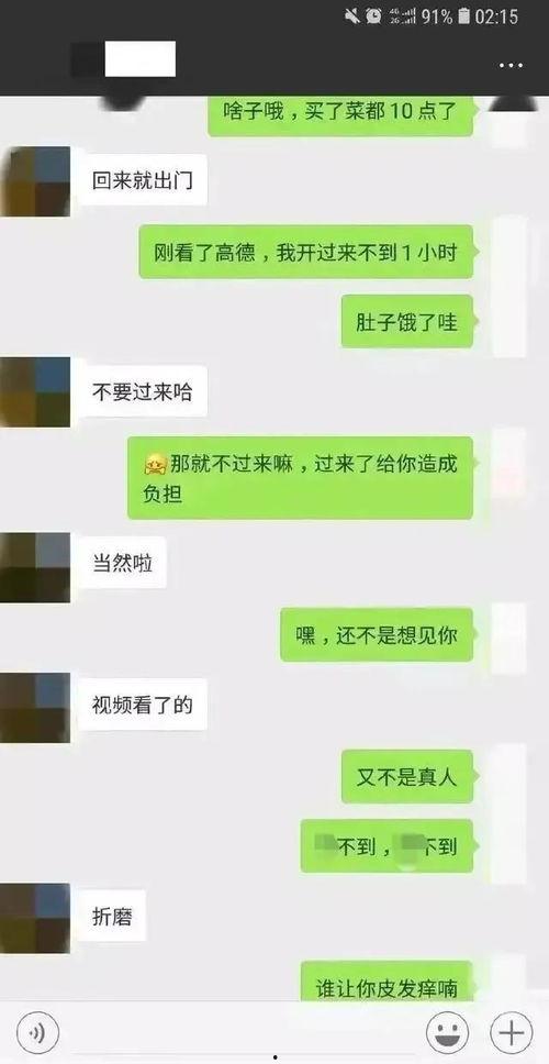 吃瓜吗聊天对话,吃瓜吗？揭秘网络聊天中的趣味与真相