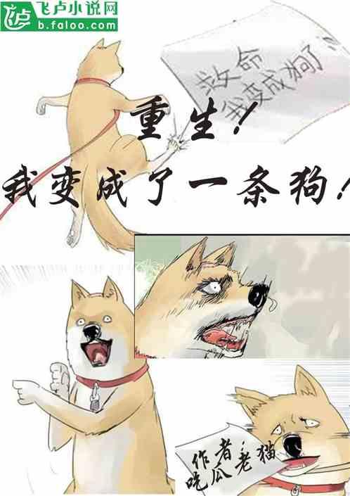 吃瓜有危险小说