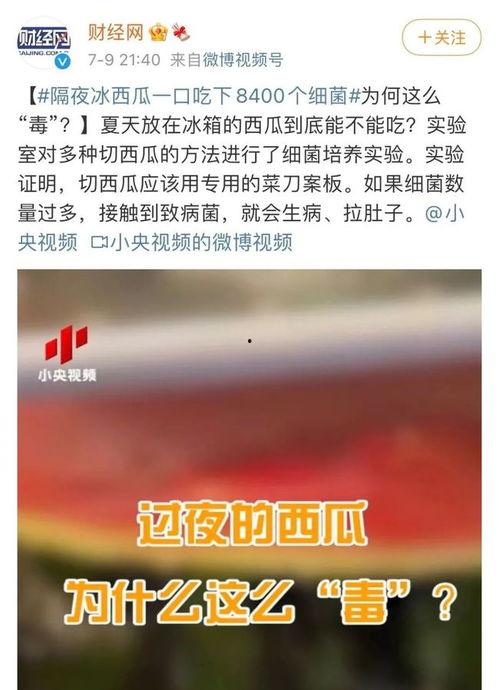 吃瓜有危险小说