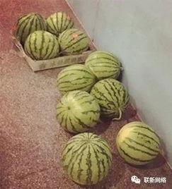 吃瓜走一波全集,揭秘娱乐圈幕后风云