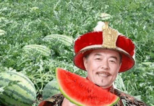 叉猹吃瓜的瓜农,一场奇妙的吃瓜之旅