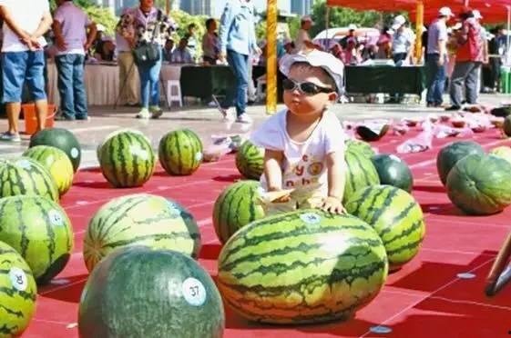 淮阳建业吃瓜大赛,全民狂欢，瓜果飘香盛宴
