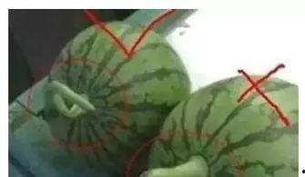 小酷的吃瓜,揭秘娱乐圈那些不为人知的幕后故事