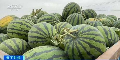 07届工贸吃瓜,吃瓜群众的视角解读那段激情燃烧的岁月