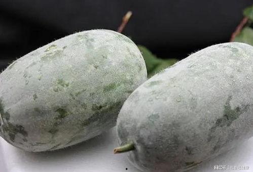 一线吃瓜最新,揭秘娱乐圈最新热点事件