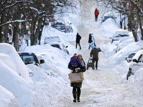 冬看雪 夏吃瓜,冬赏雪景，夏品瓜香