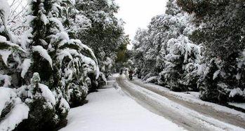 冬看雪 夏吃瓜,冬赏雪景，夏品瓜香