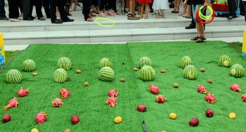 吃瓜鉴赏馆,吃瓜鉴赏馆带你领略瓜界风云