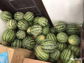 2024最新吃瓜群,揭秘娱乐圈最新热点与幕后故事