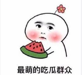 沙雕搞笑吃瓜小说,沙雕搞笑吃瓜小说大集合