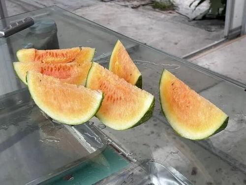 这个夏天有瓜吃,尽享清凉美味